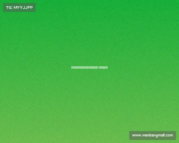 莱万晒与什琴斯尼巴尔德吉日本观光合照 共享快乐时光