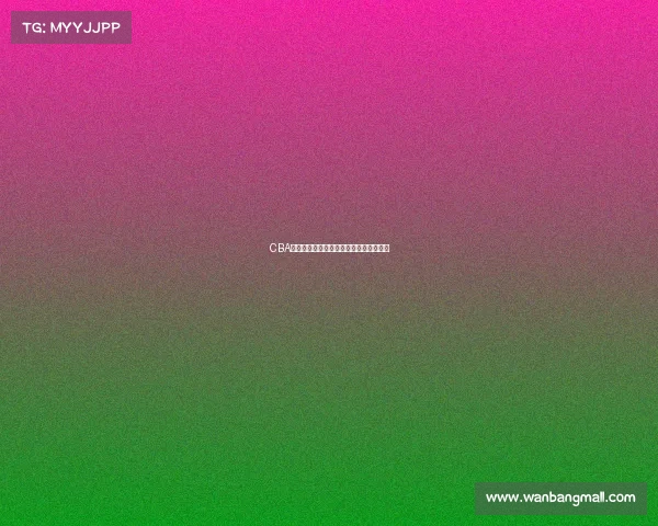 CBA联赛港澳台球员崛起助力篮球多元化发展