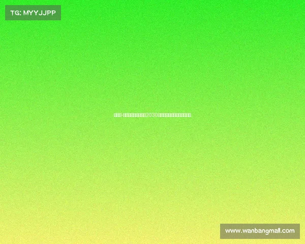 马克斯-阿莱恩与曼城续约至2030年并外租沃特福德开启新征程 马克斯-阿莱恩与曼城续约至2030年并外租沃特福德开启新征程