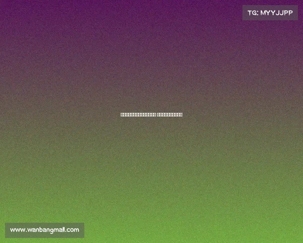 金塞拉：巴黎重启扎巴尔尼谈判 热刺密切关注局势发展