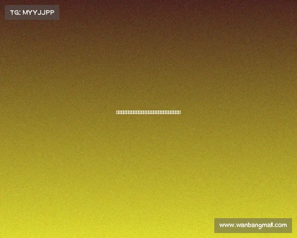 法甲新赛季即将开赛倒计时球迷热情高涨各队备战紧锣密鼓