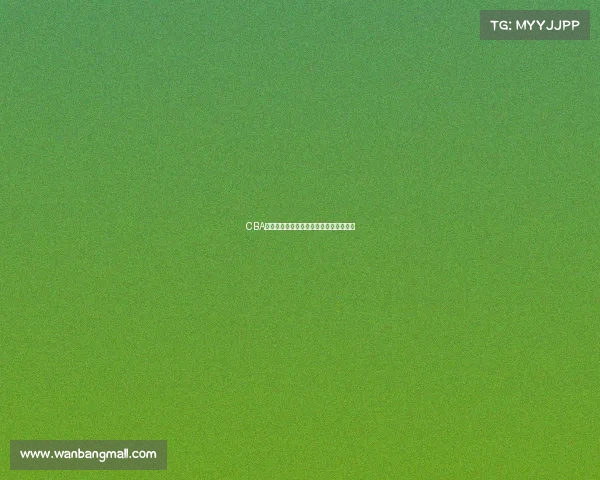 CBA联赛港澳台球员崛起助力篮球多元化发展 CBA联赛港澳台球员崛起助力篮球多元化发展