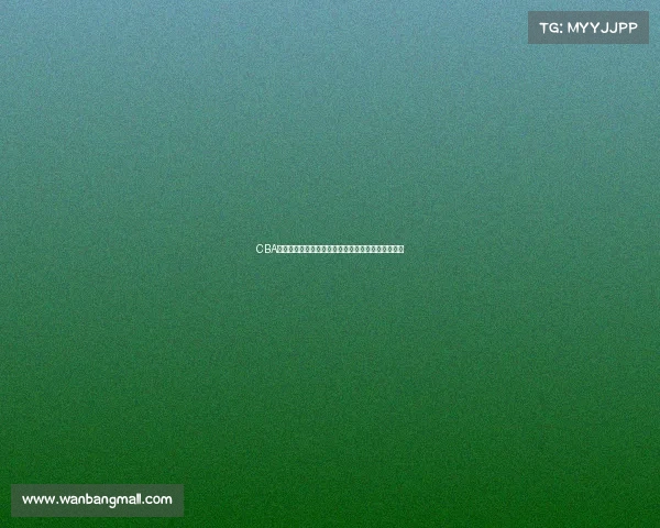 CBA联赛观众人数创新高背后的原因与未来发展趋势分析