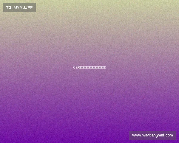 CBA联赛港澳台球员崛起助力篮球多元化发展