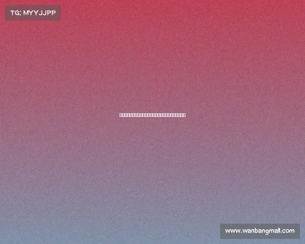 赛事对社会文化与经济发展的深远影响及其全球化趋势分析