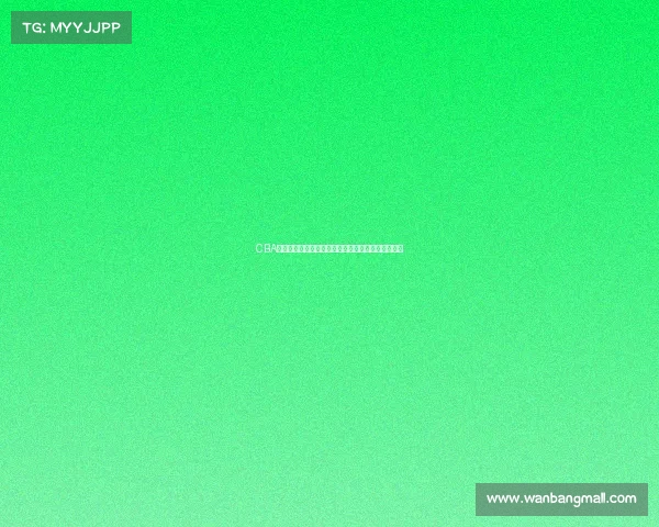 CBA联赛观众人数创新高背后的原因与未来发展趋势分析